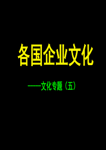 各国企业文化(黑色)(有企业文化选修课)