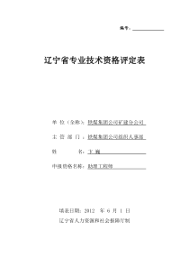 辽宁省专业技术资格评定表模板