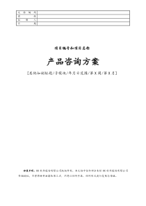产品化包装05产品咨询方案