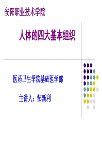 解剖学第二章基本组织