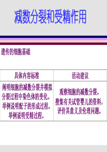 遗传的细胞基础课件