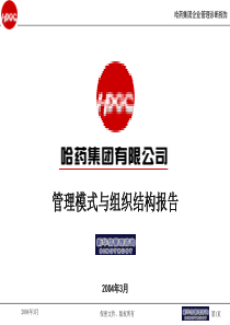 新华信咨询为某公司做的管理模式设计PPT