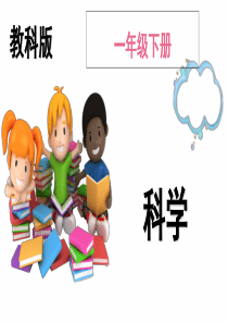 观察一种动物(课件)