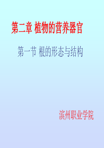 第二章-植物的营养器官