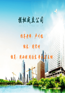 模拟成立公司