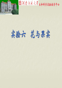 实验六、-花与果实