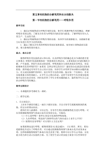 七年级生物呼吸作用