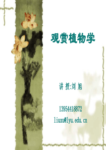 观赏植物种植资源布