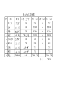 排水沟,工程,预算清单