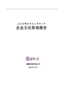 山西金晖煤焦化工—企业文化咨询报告
