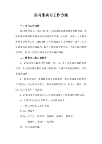 实习生实习工作方案
