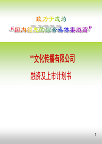 广告策划-PPT某文化传播有限公司融资计划书(商业计