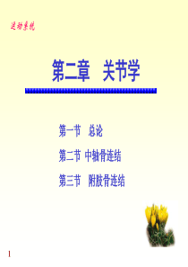 医学课件(免费)