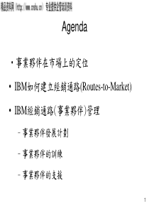 某着名咨询公司-IBM-渠道管理报告