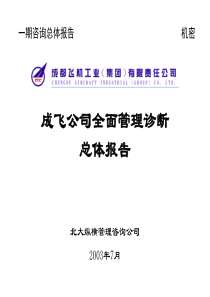 成飞公司全面管理诊断总体报告