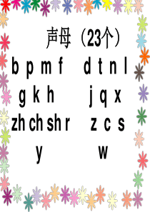 易混淆声母  韵母