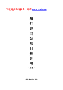 某著名咨询公司-猜灯谜-网站项目规划书