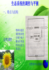 园林生态学---园林生态系统的调控与生态平衡