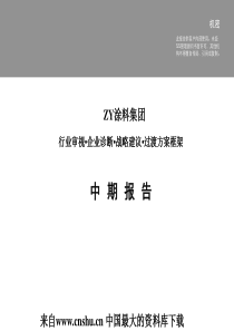 某著名咨询公司为XX公司做的涂料行业分析报告（PPT 209页）