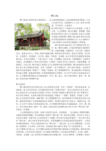 中外园林简介