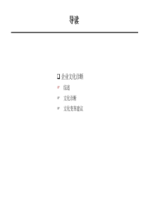 文化诊断体系