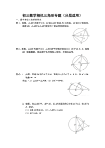 (完整)初三数学相似三角形专题练习