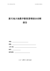 新天地大地数字影院营销综合诊断