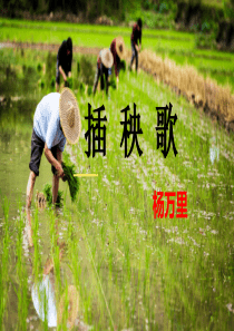 20200921-插秧歌