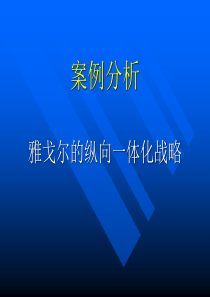 案例分析——雅戈尔一体化发展战略