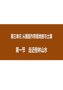 《走近桂林山水》PPT课件-高中地理