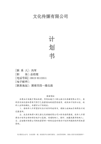 新大秦文化传媒公司创业商业计划书(31页)
