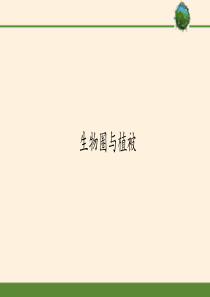 必修1地理新教材鲁教23生物圈与植被pptx-11