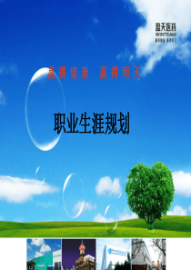 职业生涯规划