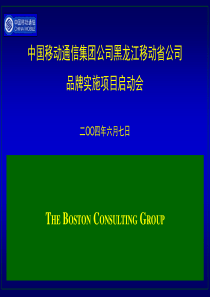 波士顿管理咨询公司－黑龙江移动品牌规划