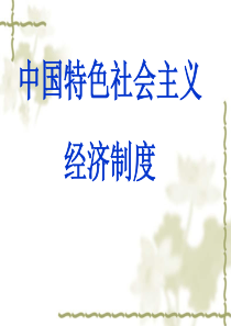 中国特色社会主义经济制度讲述