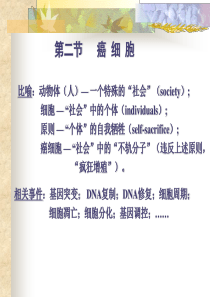 癌细胞--ppt课件