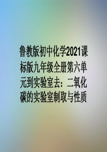 鲁教版初中化学2021课标版九年级全册第六单元到实验室去：二氧化碳的实验室制取与性质