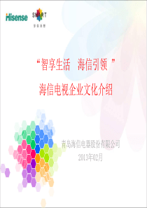 智享生活-XXXX年海信企业文化