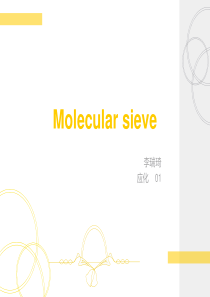 分子筛(英文)