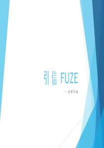 引信总体介绍