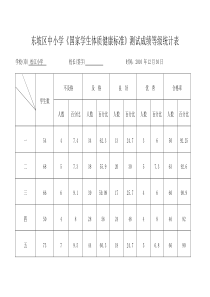 《国家学生体质健康标准》测试成绩统计表-
