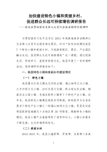 美丽乡村调研报告