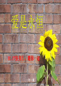 扶贫日班会ppt课件