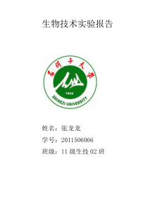 实验绿色荧光蛋白