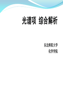 光谱项综合解析