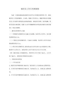 辅导员工作月考核细则