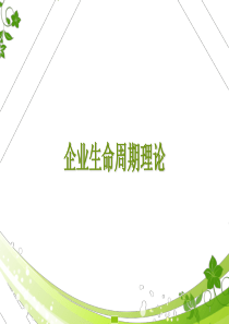 企业生命周期理论PPT精选文档