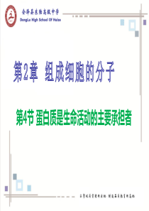 2-4蛋白质是生命活动的主要承担者