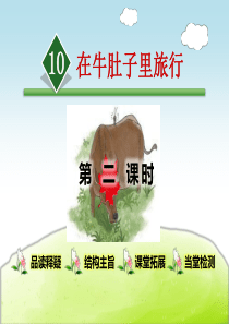 《在牛肚子里旅行》PPT(第二课时)-完美版