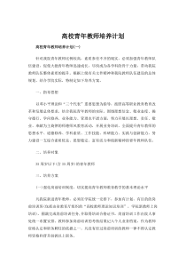 高校青年教师培养计划